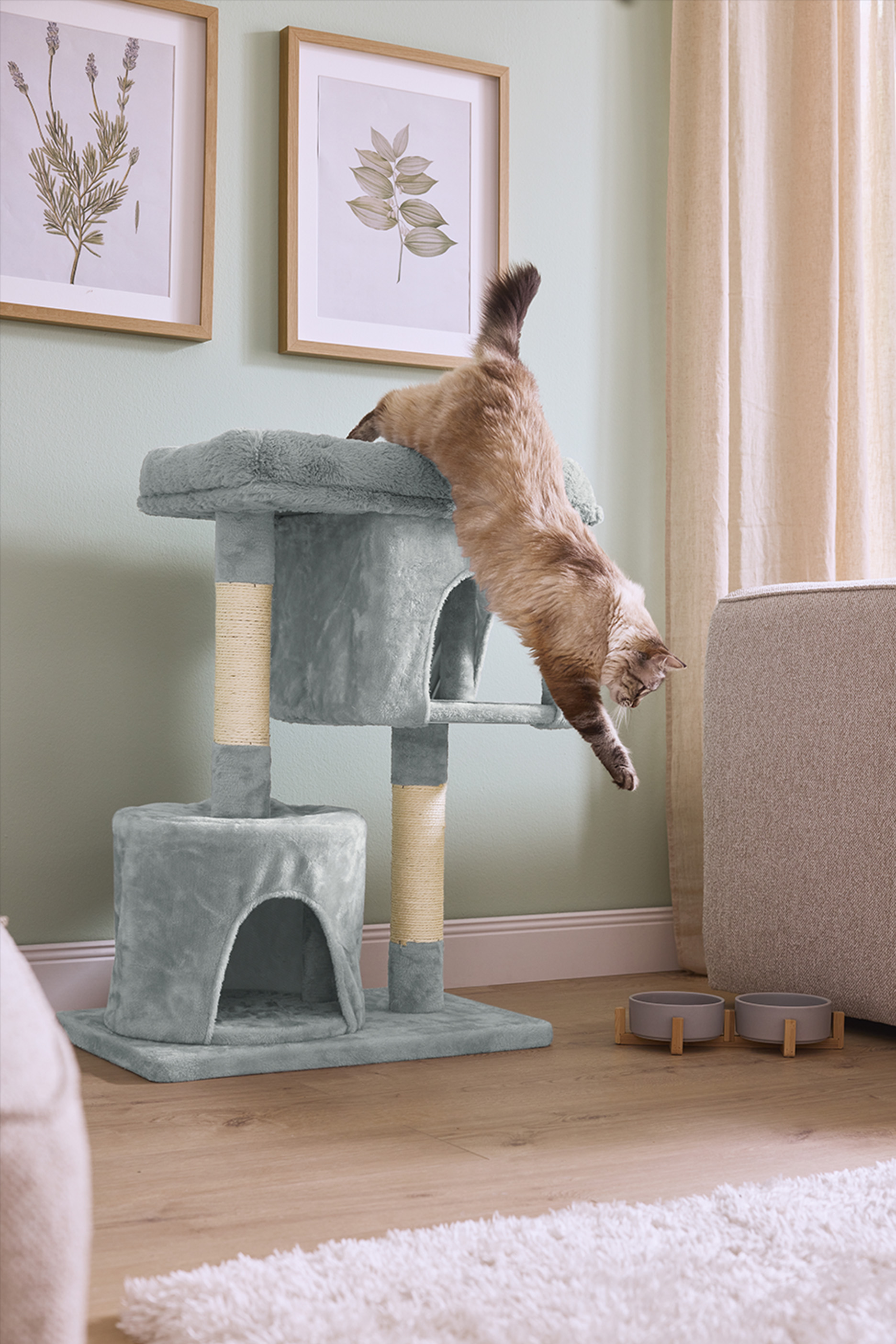 Kass ronib hallil kassipuul, taustal pildid ja beežid kardinad.